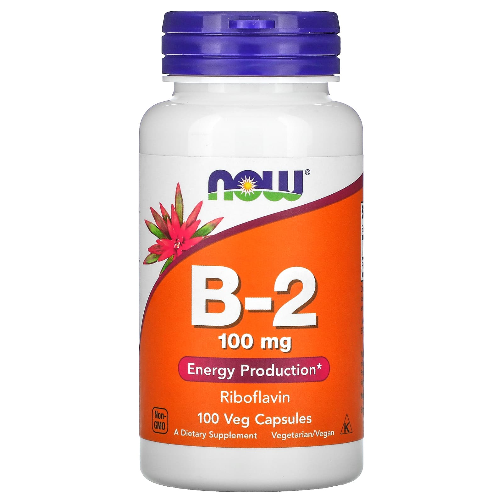 FREE NOW Foods, B-2, 100 mg, 100 Veg Capsules