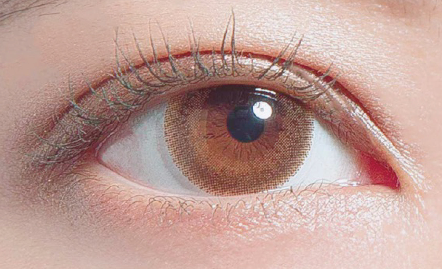Decorative Eyes 1 Day Veil Baby Maple [10片] [度數：±0.00]