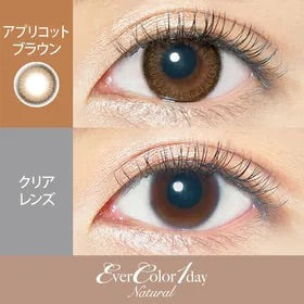 EverColor1day Natural- Apricot Brown 每日即棄有色隱形眼鏡 20片 心動杏棕[度數：-0.00/-1.25/-2.5/-3.75/-4.0/-4.25/-4.75/-9.0]