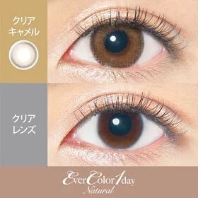 Ever Color Natural 1Day 每日即棄有色隱形眼鏡 20片(Clear Camel)  [度數：-3.50/-6.00]