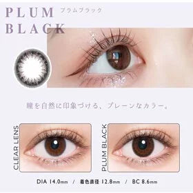 envie UV 1 Day Plum Black 梅子黑每日拋棄型有色彩妝隱形眼鏡｜每盒10片 [度數：-5.75/-6.50] 